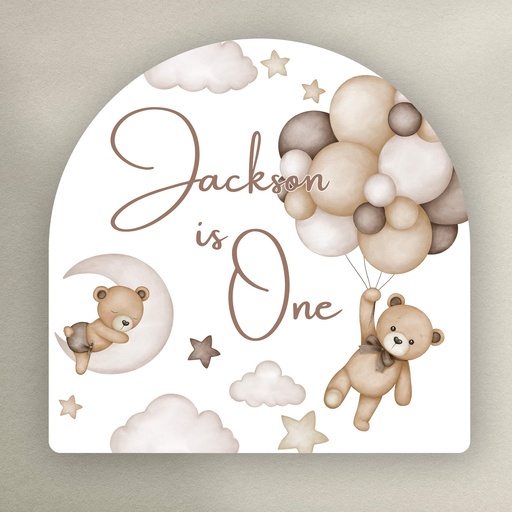 Teddy Bear Party Placemat Pack of 20