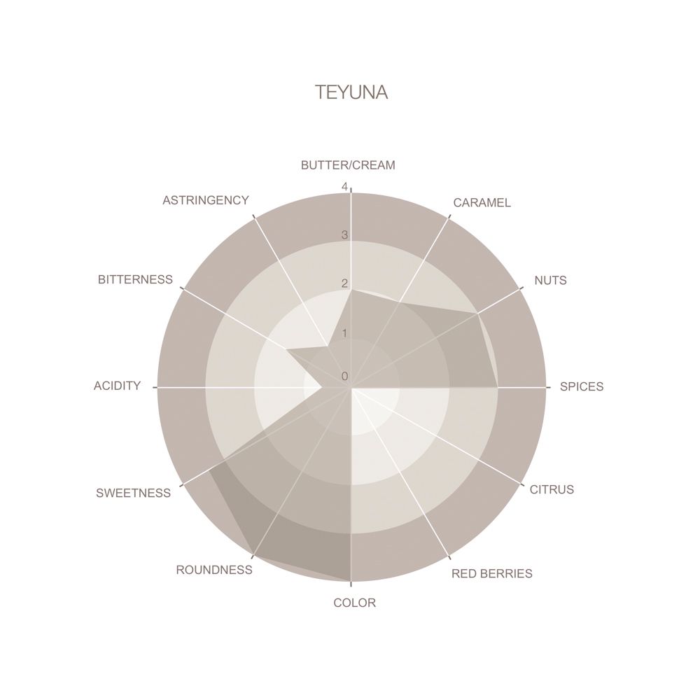 Odoo image and text block