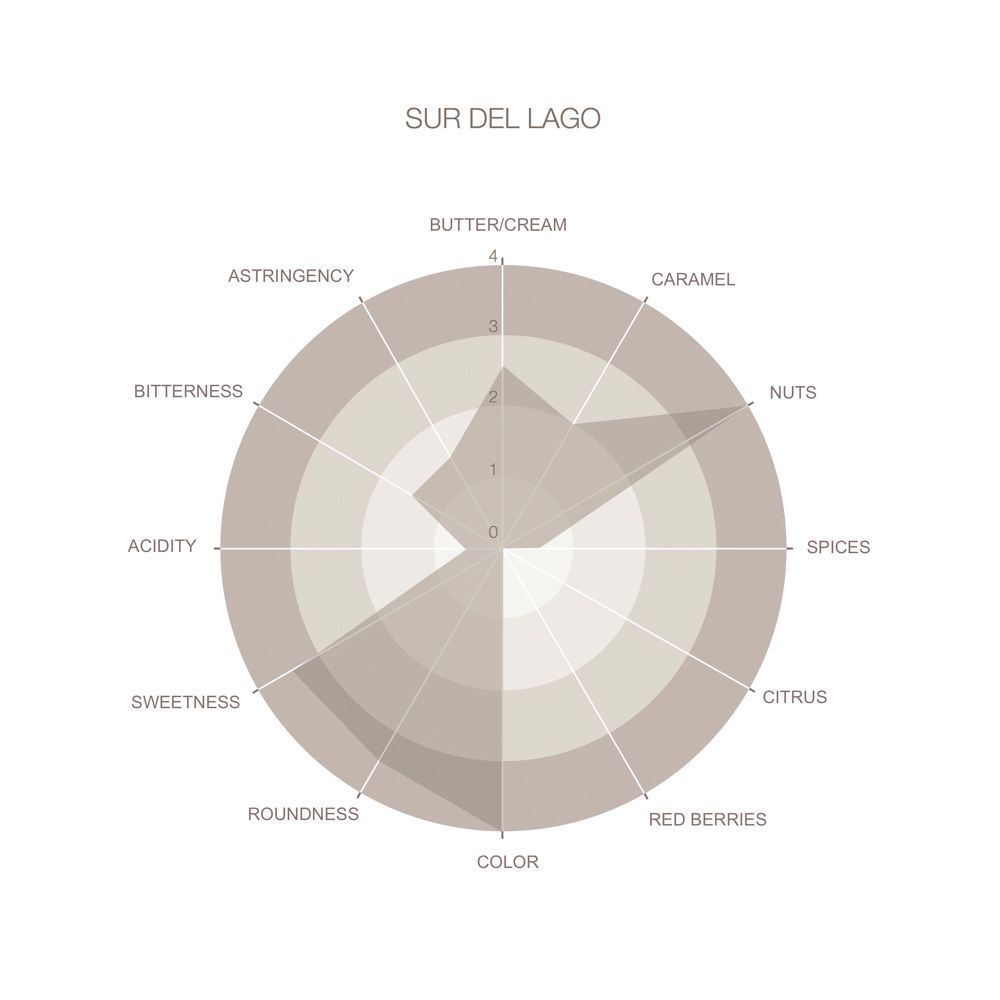 Odoo image and text block