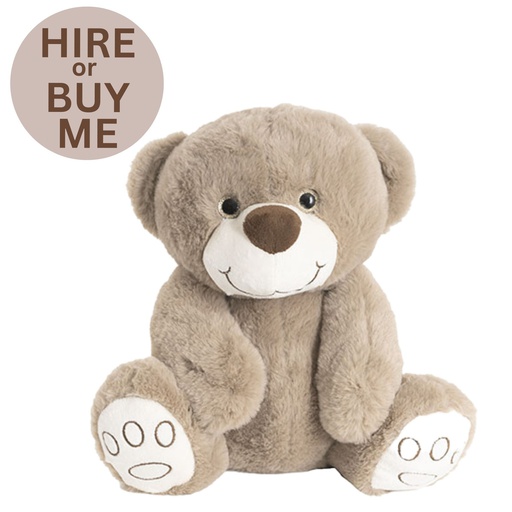 30cm Super Soft Brown Teddy Bear - Hire or Buy
